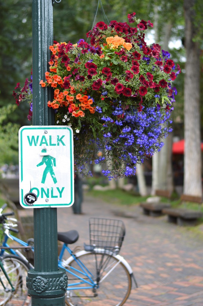 Colorado getaway, Aspen CO, flowers in Colorado, pedestrians only 