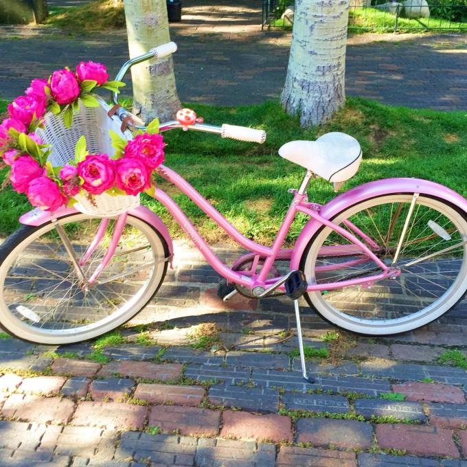 Colorado getaway, flowers in Colorado, pink bicycle