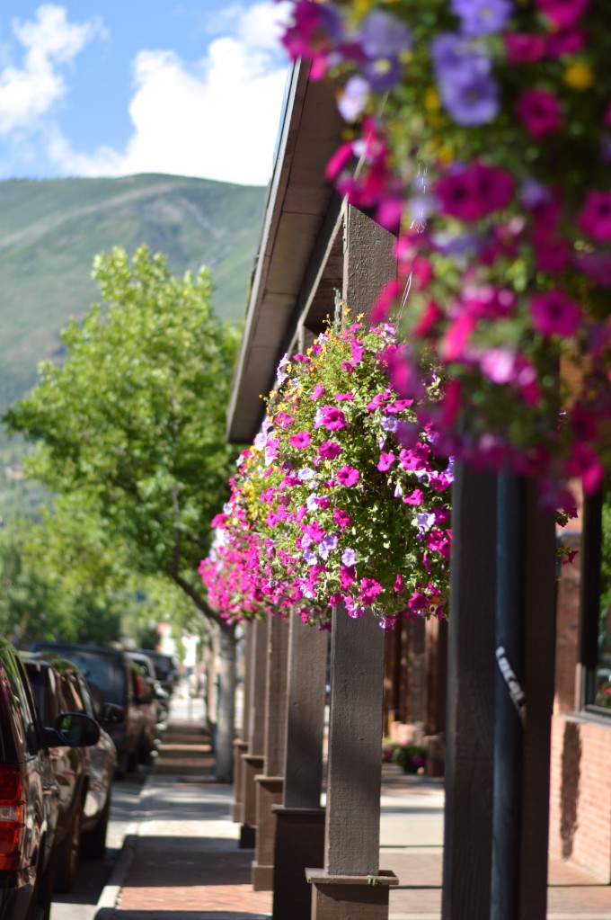 flowers in Colorado, summer flowers, hanging baskets, Colorado getaway