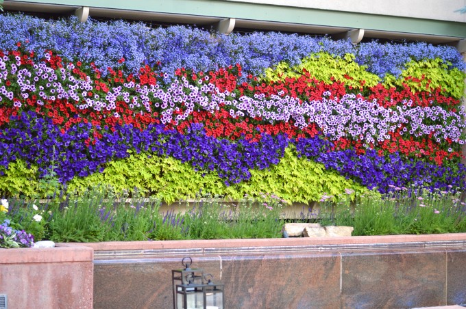 The living wall of flowers at The Little Nell