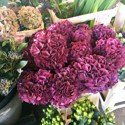 antique hydrangea, flower shops london,