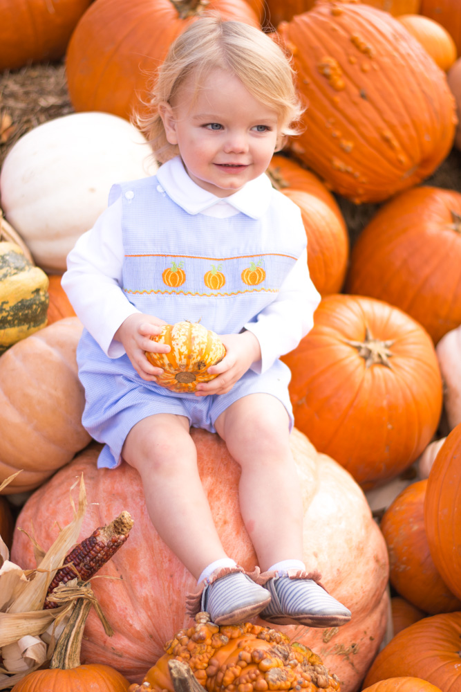a day at the pumpkin patch