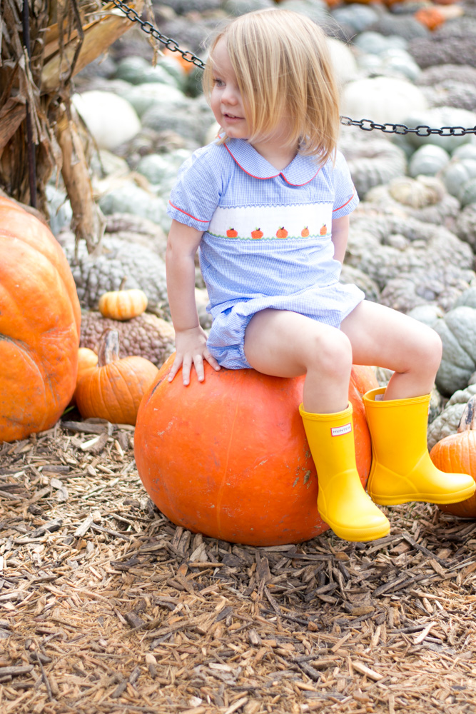 favorite fall activity in dallas sitting ona pumpkin