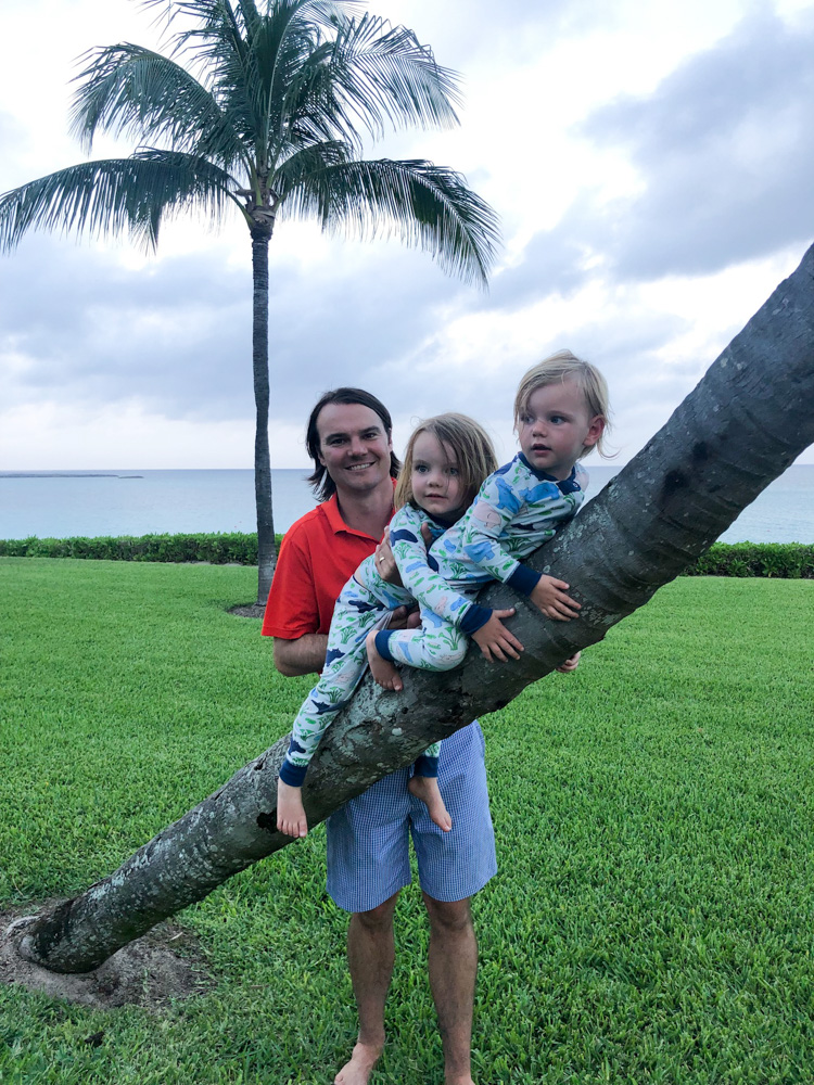 two toddlers climbing palm tree with dad