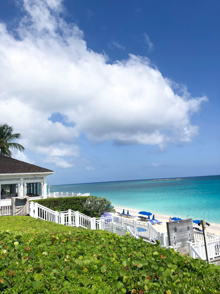 beach view from bluff