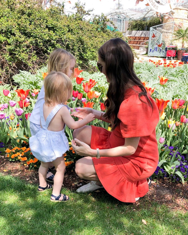 young mom with toddler boys in flower garden