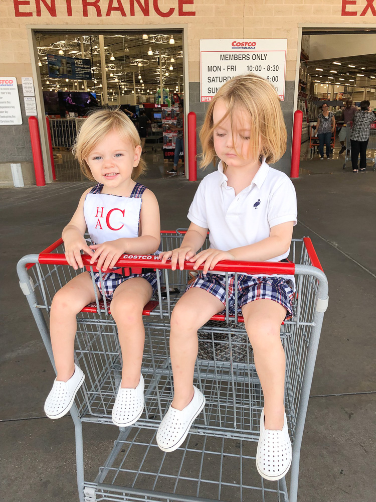 toddler boys in grocery cart