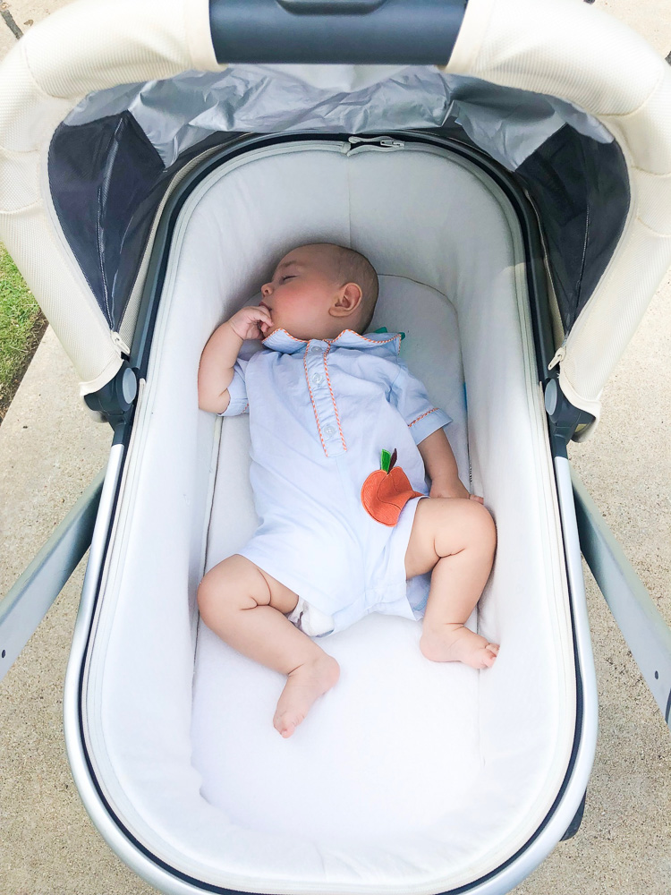 baby boy in bassinet stroller pumpkin bubble