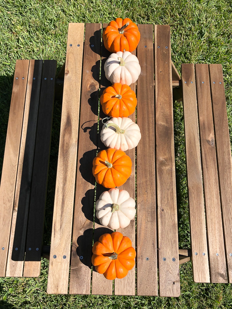 mini pumpkins lined up on picnic table