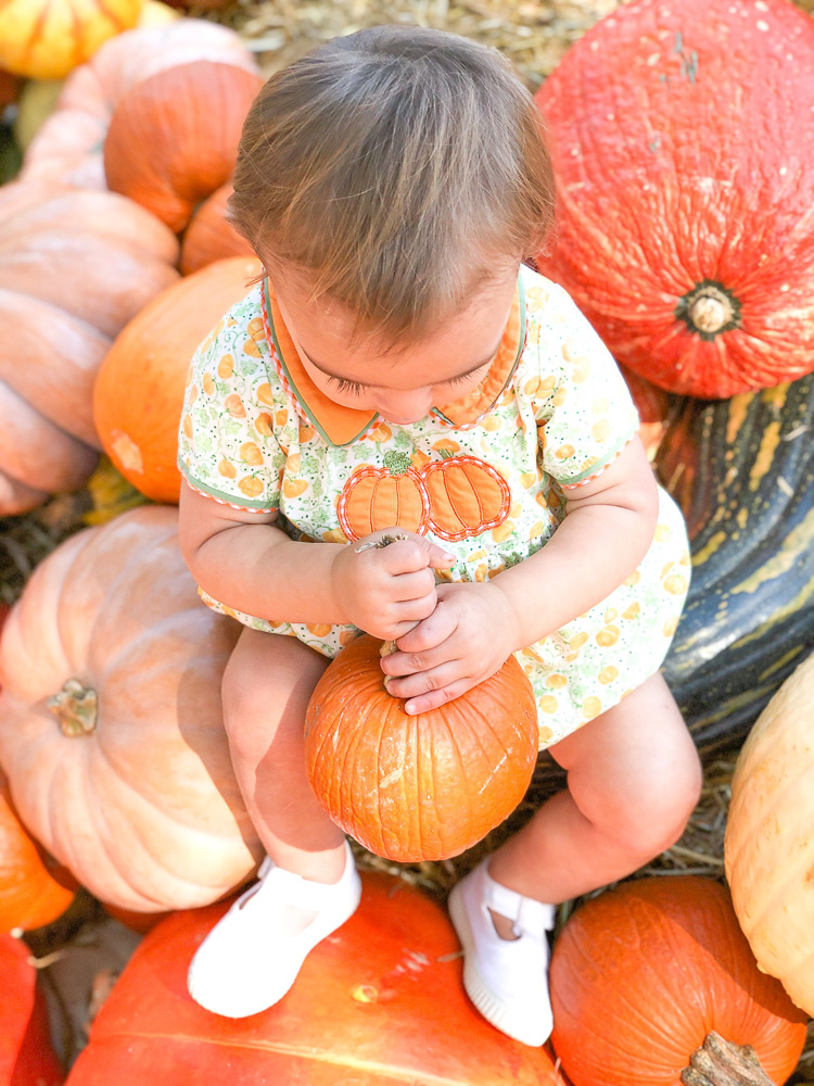 baby holding pumpkin