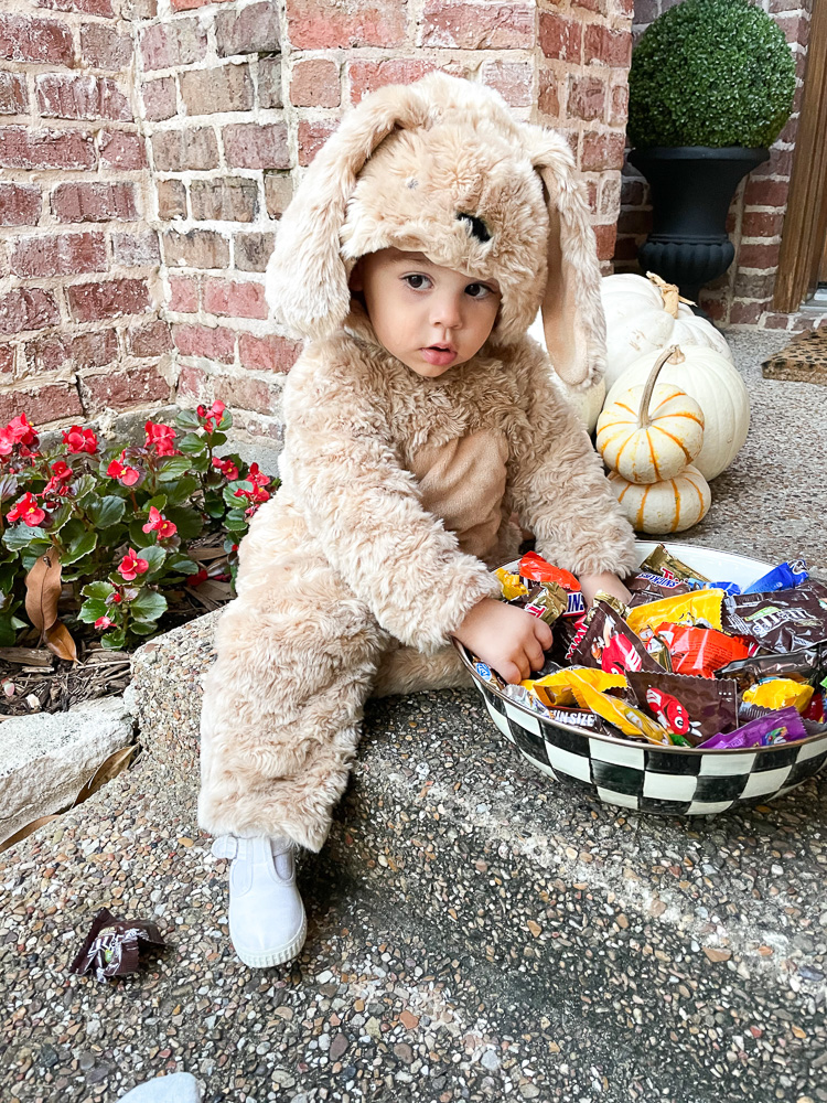 toddler dressed like puppy halloween