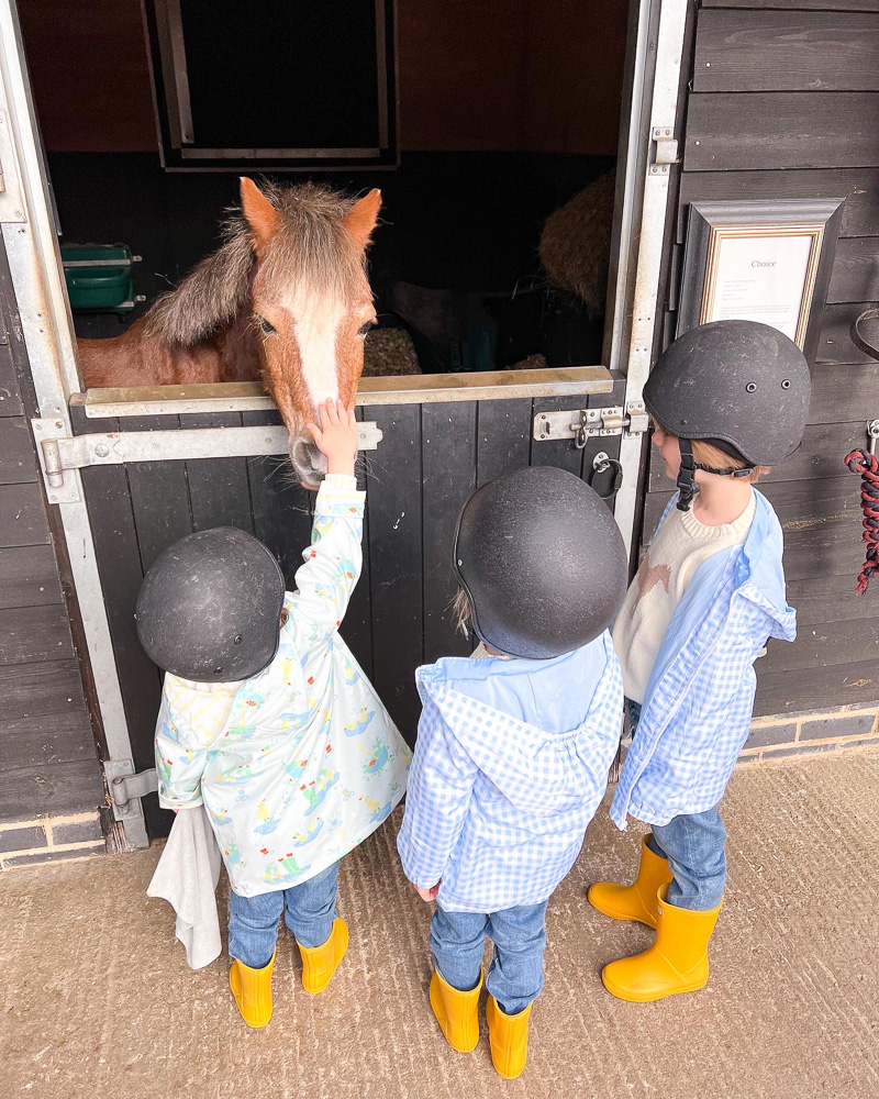 three little boys petting pony in the stables four seasons hampshire