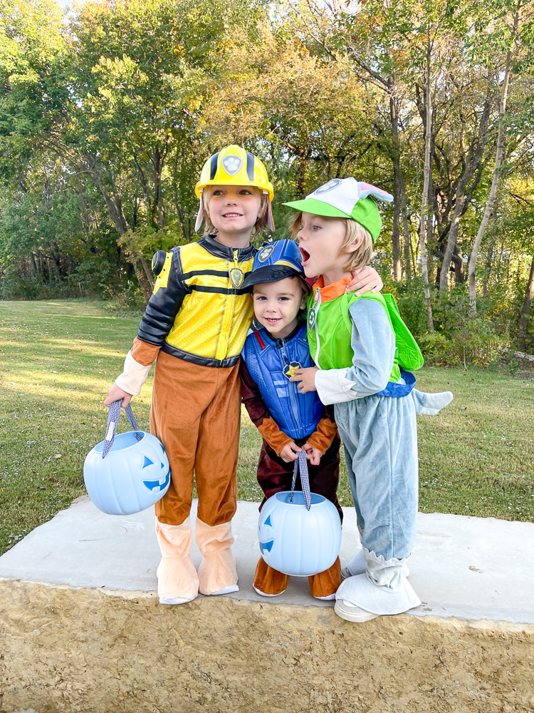 three little boys dressed as paw patrol characters