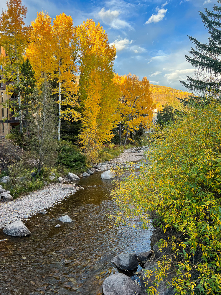 river view with yellow fall trees vail;